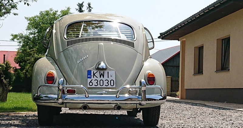 Volkswagen Garbus cena 134000 przebieg: 250, rok produkcji 1962 z Łuków małe 781